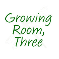 Growing Room 3 Fall 2013
